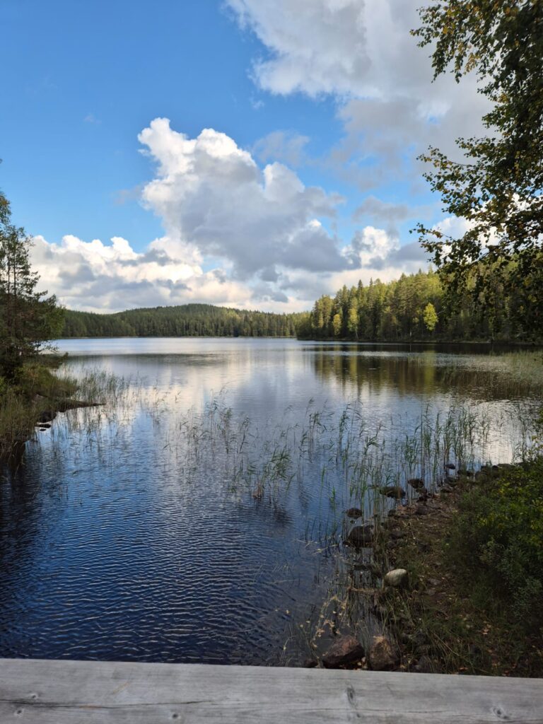 Repoveden päiväretki – ja kuinka kävikään?🌿🌿